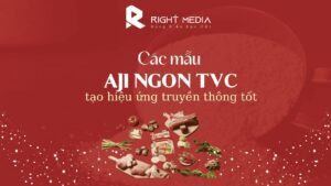 Aji Ngon TVC