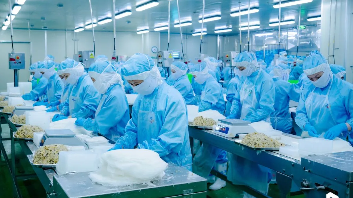 Ghi hình công đoạn sản xuất thực phẩm trong xưởng