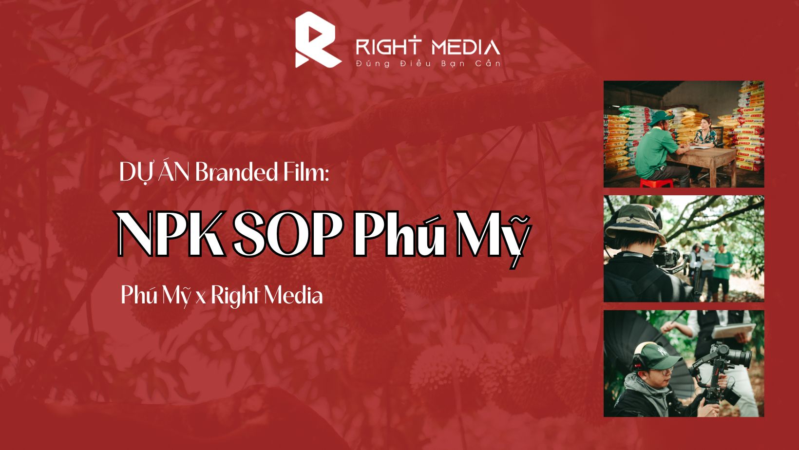 Dự án Branded Film NPK SOP Phú Mỹ