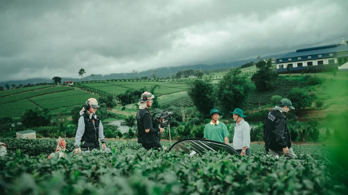 Dựng và chỉnh màu phim Phú Mỹ Organic ở khâu hậu kỳ
