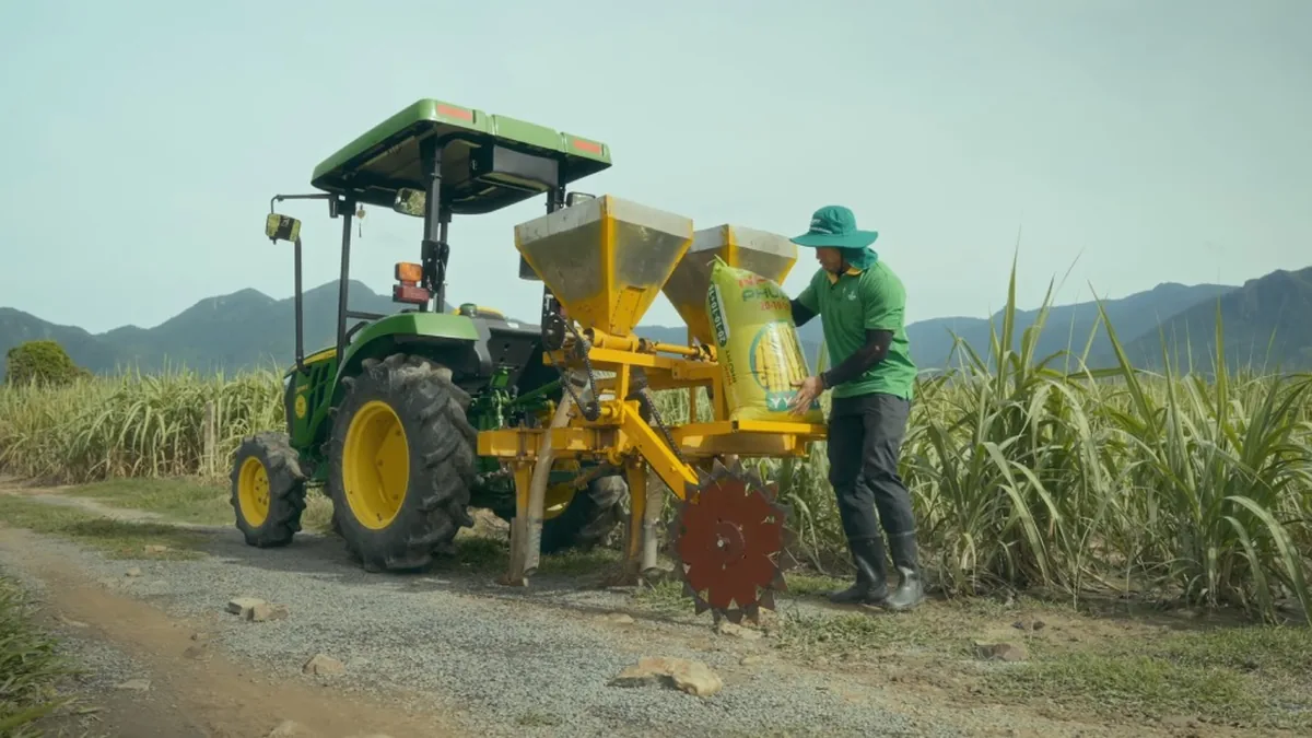 Người nông dân làm việc giữa vườn mía, bối cảnh chính của phim