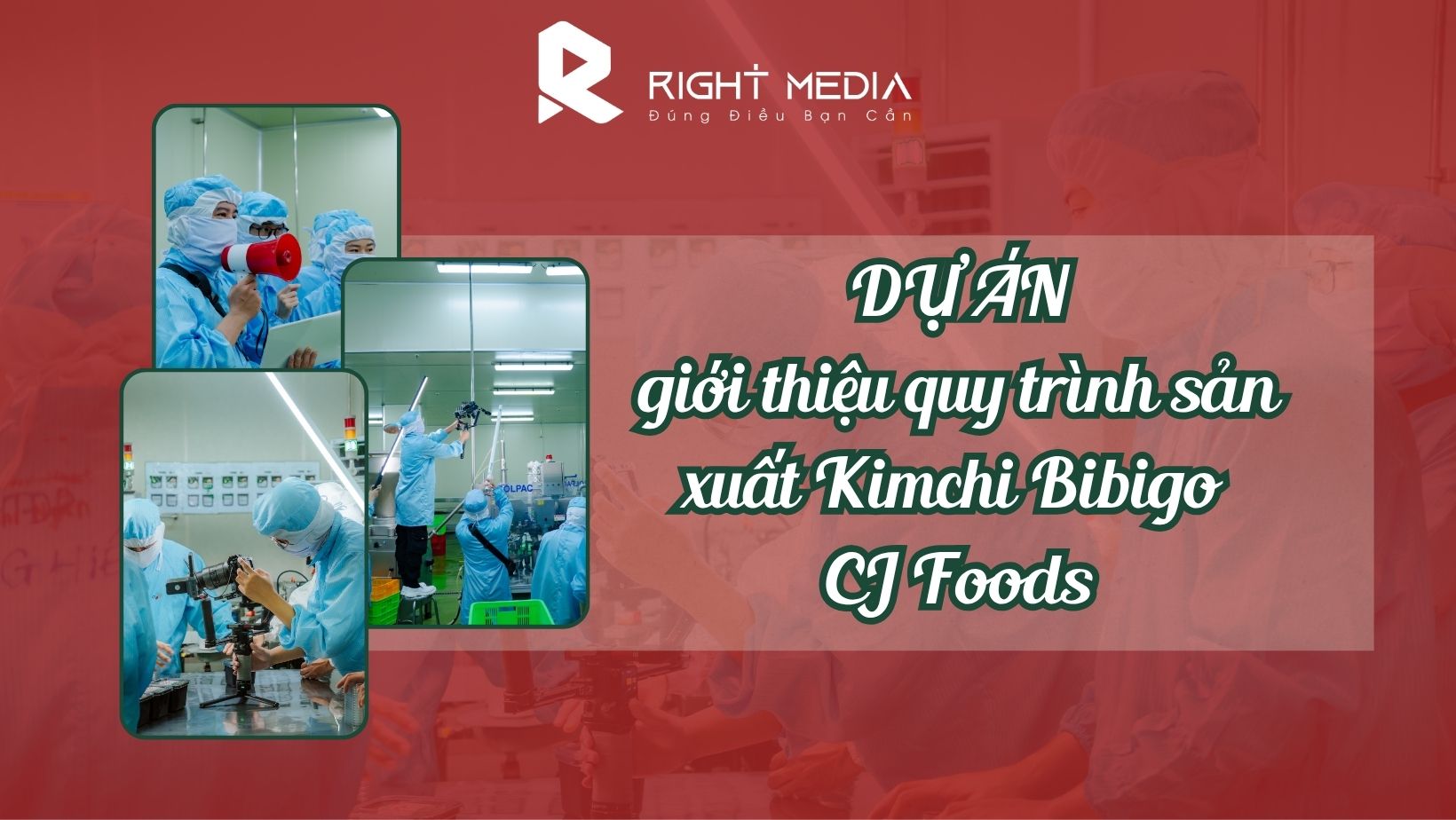 Dự án giới thiệu quy trình sản xuất Kimchi Bibigo CJ Foods
