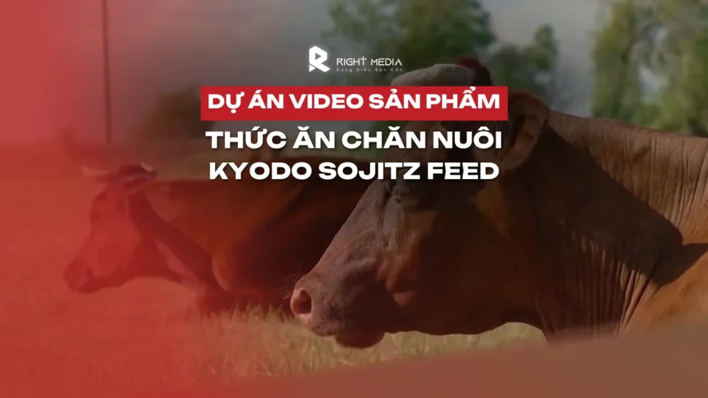 Dự án video giới thiệu sản phẩm thức ăn chăn nuôi: KSF