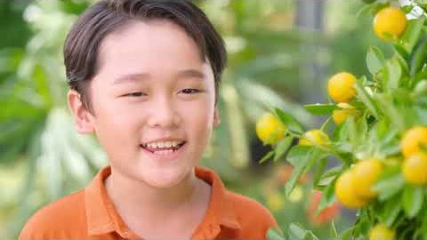 TVC phân bón Phú Mỹ với cậu bé bên cây quất trĩu quả