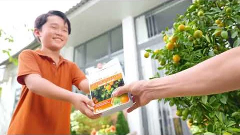 Gói sản phẩm phân bón Phú Mỹ cho nông nghiệp đô thị trong TVC